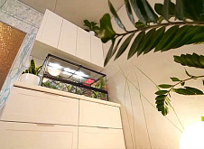 Дизайн интерьера гостиной с жидкими обоями Дизайн интерьера гостиной с жидкими обоями