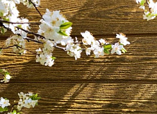 Знакомство с фасадными панелями Хокла